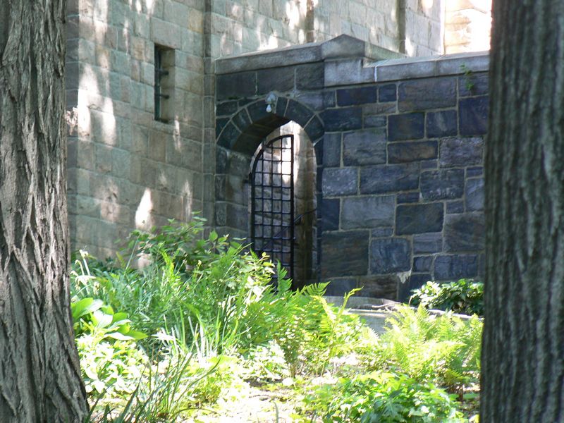 The Cloisters: The Cloisters 13